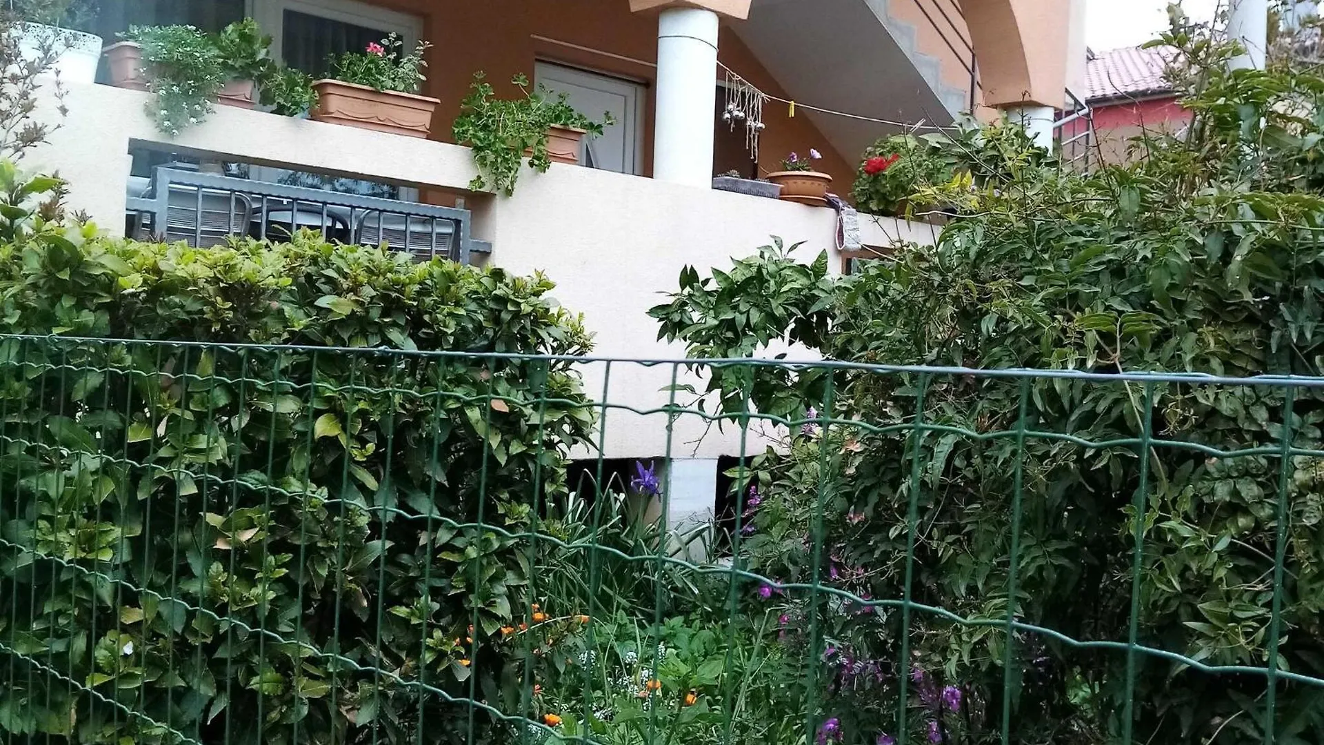 Apartments Vanja Kara Biograd - Studio Apartment With Terrace Biograd Na Moru